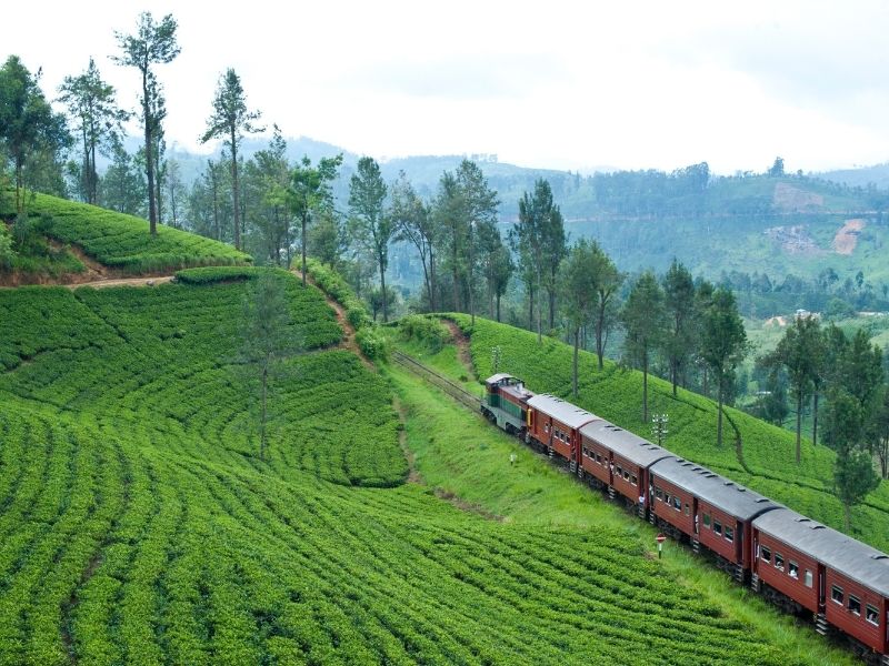 Tea train, Sri Lanka