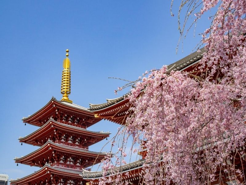 Senso-ji Temple Japan