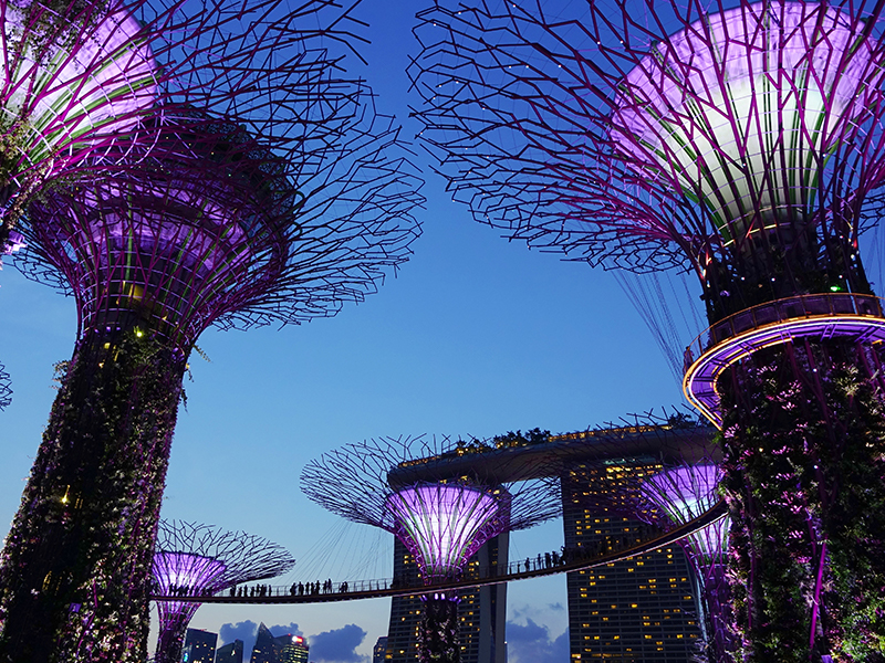 Singapore Gardens by the bay