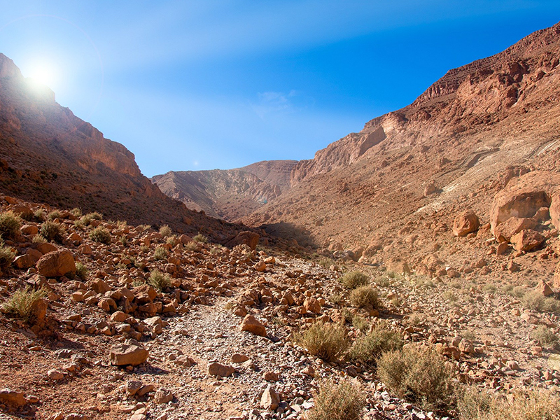 Visit the Todra Gorge during your luxury holiday to Morocco
