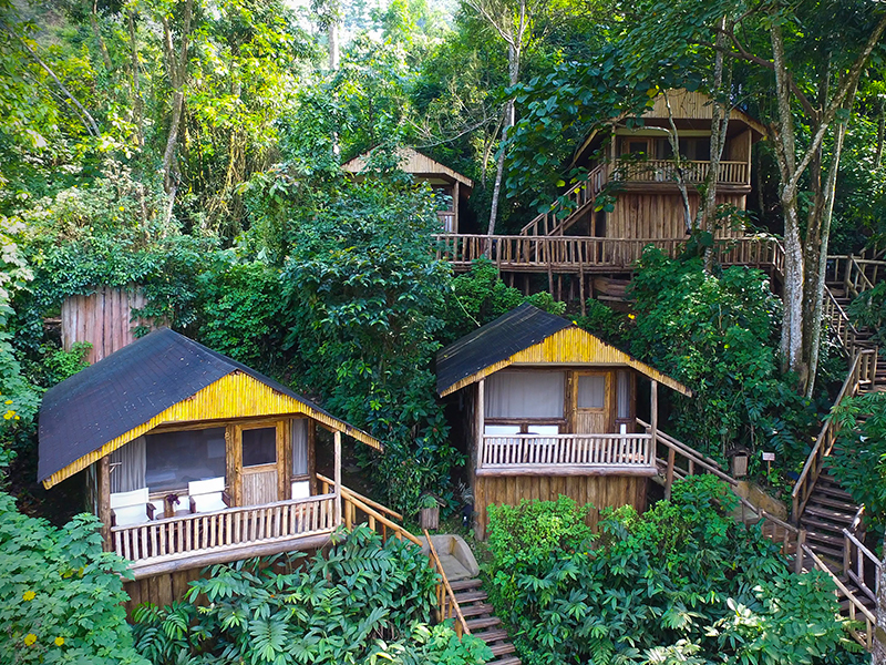 Spend three nights in Buhoma Lodge during your luxury holiday to Uganda