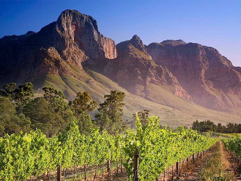 Visit the Franschhoek Valley vineyards during your luxury South African holiday