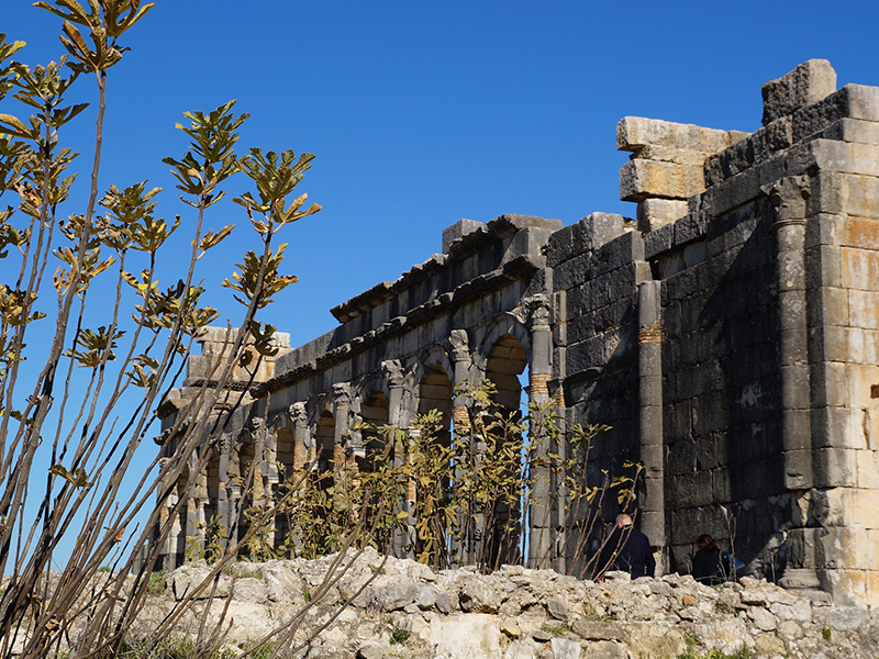 Visit the Roman ruins of Volubilis during luxury holidays to Morocco