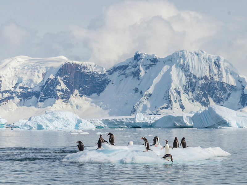 Weddell Sea