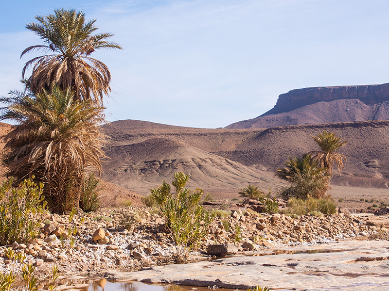 Visit Draa Valley in Zagora during your luxury holiday to Morocco