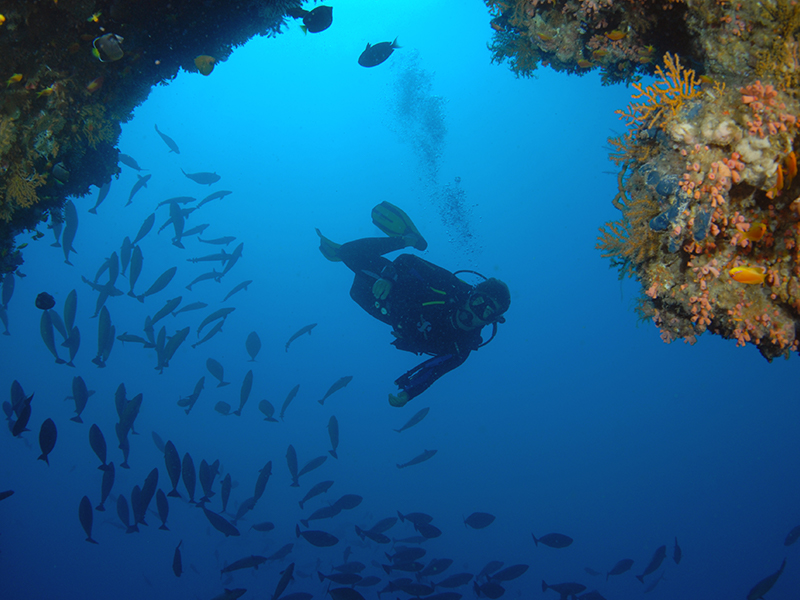 Learn to dive with the PADI team during your luxury holiday to Mozambique