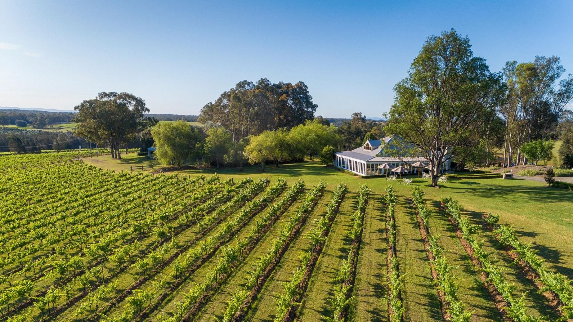 Spicers Vineyards Estate